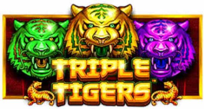 Triple Tigers slot game